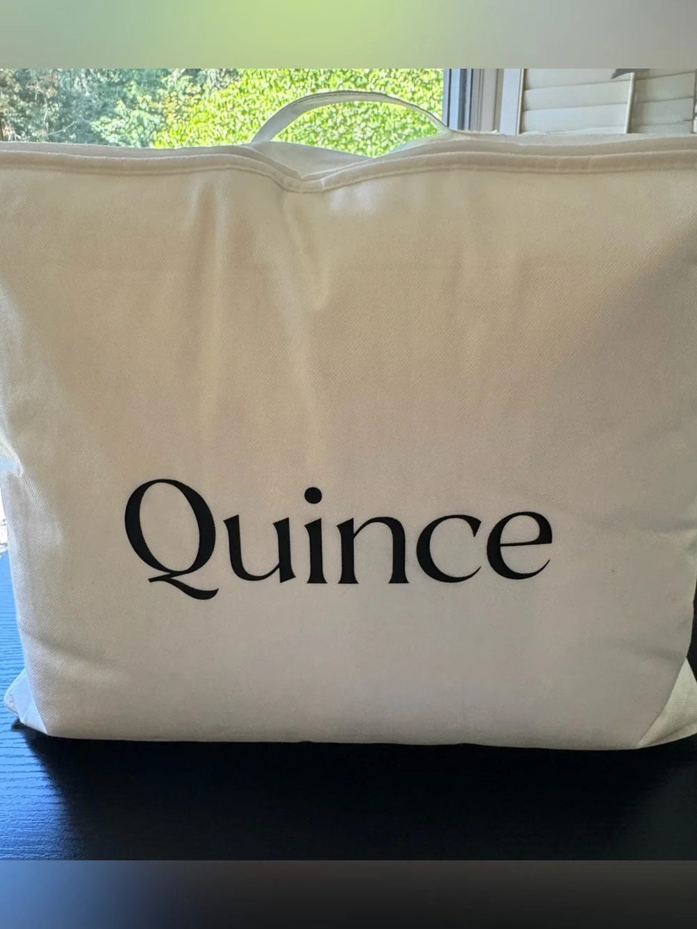 Quince Premium Down Comforter Queen All Season 650 Fill Power Duvet Insert